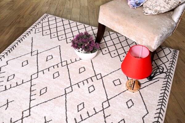 Furnish My Place Trellis Pattern Rug - Image 3