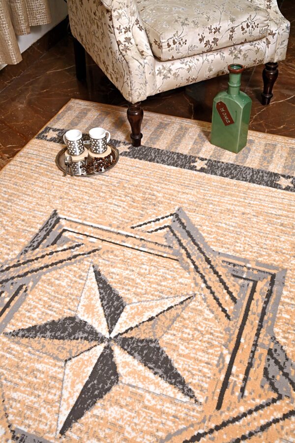 Furnish My Place Texas Star Rug - Image 4